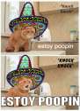 estoy poopin.jpg