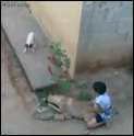 1285017374748.gif