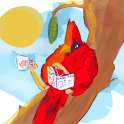 bird.png