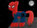 spider_pony_by_infera1-d4v64ix.jpg