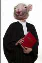 RATO LAWYER.jpg