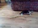 1468146240294.gif