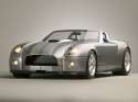 2004_ford_shelby_cobra_concept_manu_01.jpg