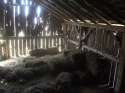 not my barn.jpg