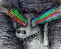 1425049779824.gif