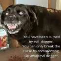 evildogger.jpg