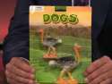 dogs.jpg