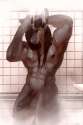 1450676559.lost-paw_lonewolf.jpg