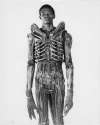 alien1.jpg