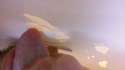 20160813_031810.jpg