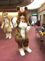 1394120698.tashiroyu_img_2746.jpg