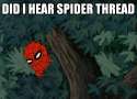 Spider thread.jpg