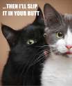 catputinbuttxSlipB.jpg
