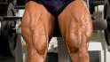A-Complex-Approach-to-Quads-and-Hams.jpg