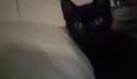 received_158202194611875.jpg