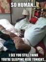 kickass-funny-photos-4.jpg