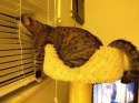 i-can-see-the-weekend-now-i-just-dgaf-14.jpg