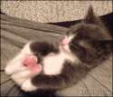 image.gif