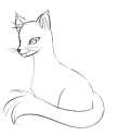 katze.png