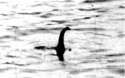nessie.jpg