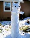 long-cat.jpg