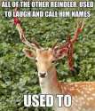 murdeer.jpg
