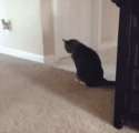 115c27aa3a27.gif