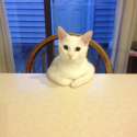 I'm listening.jpg
