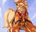 Arcanine2.png