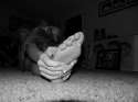 Gwynn feet 19.jpg