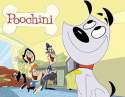 poochini.jpg