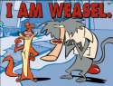 I-Am-Weasel.jpg