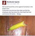 2016-08-15 05.24.04.png