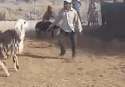 GoatRevenge.gif