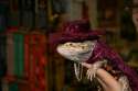 SCALES IF WE ARE THE SPANISH INQUISITION NO ONE WILL EXPECT US.jpg