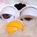 Furby is stoned.jpg