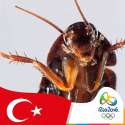 turk.jpg