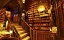 Private-library.jpg