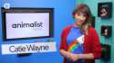 vlcsnap-2014-04-03-07h17m09s59.png