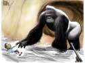 harambe.jpg