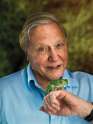 David-Attenborough-flickr-creative.jpg