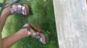 20150629_160737.jpg