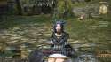ffxiv_08162016_075459.png