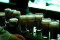 Guinny.jpg
