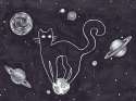 background-cat-cats-cute-Favim.com-3697822.jpg