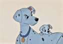 Don't talk to me or my son ever again.jpg