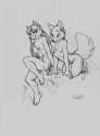 1471308677.kalahari_coyotesisters.png