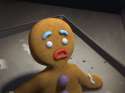 Gingy_1.jpg