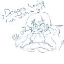 dogs.png