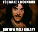 mole.jpg